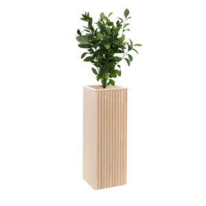 Felicity Planter