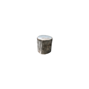 Wood Stump